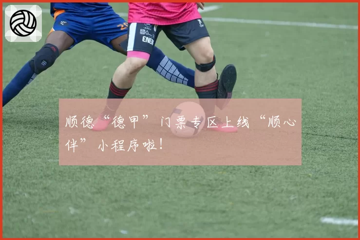 顺德“德甲”门票专区上线“顺心伴”小程序啦!