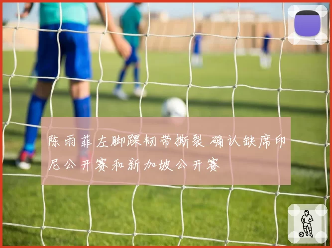 陈雨菲左脚踝韧带撕裂 确认缺席印尼公开赛和新加坡公开赛