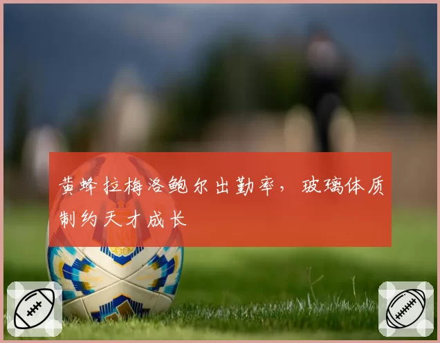 黄蜂拉梅洛鲍尔出勤率，玻璃体质制约天才成长