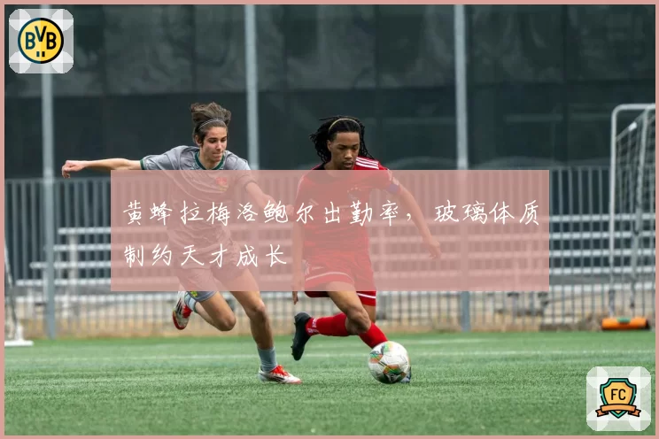 黄蜂拉梅洛鲍尔出勤率，玻璃体质制约天才成长