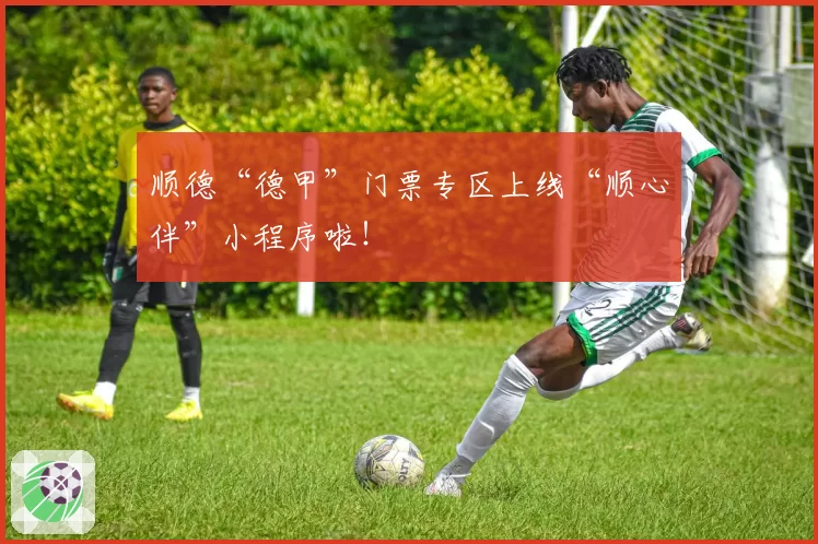 顺德“德甲”门票专区上线“顺心伴”小程序啦!
