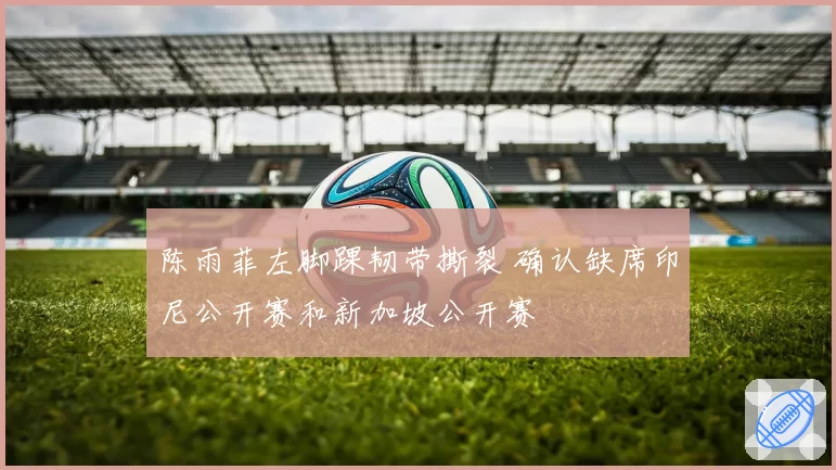 陈雨菲左脚踝韧带撕裂 确认缺席印尼公开赛和新加坡公开赛