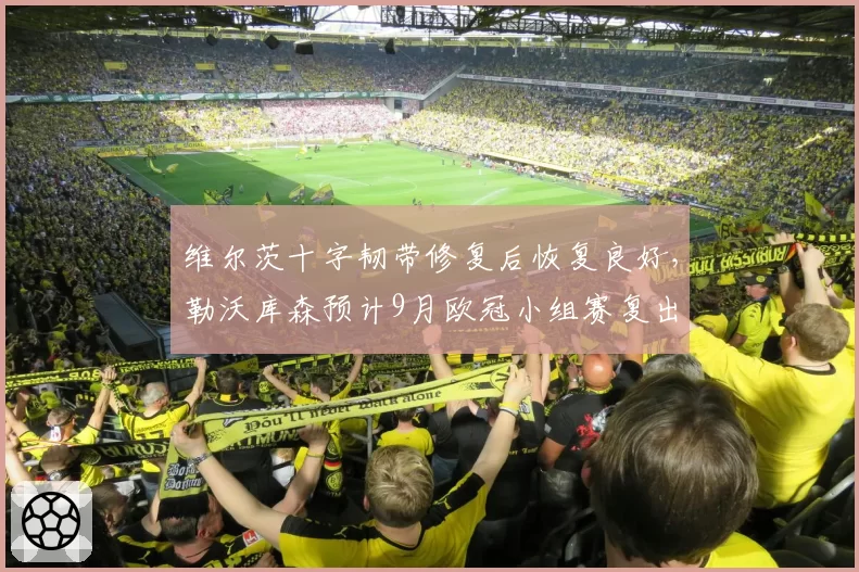 维尔茨十字韧带修复后恢复良好，勒沃库森预计9月欧冠小组赛复出
